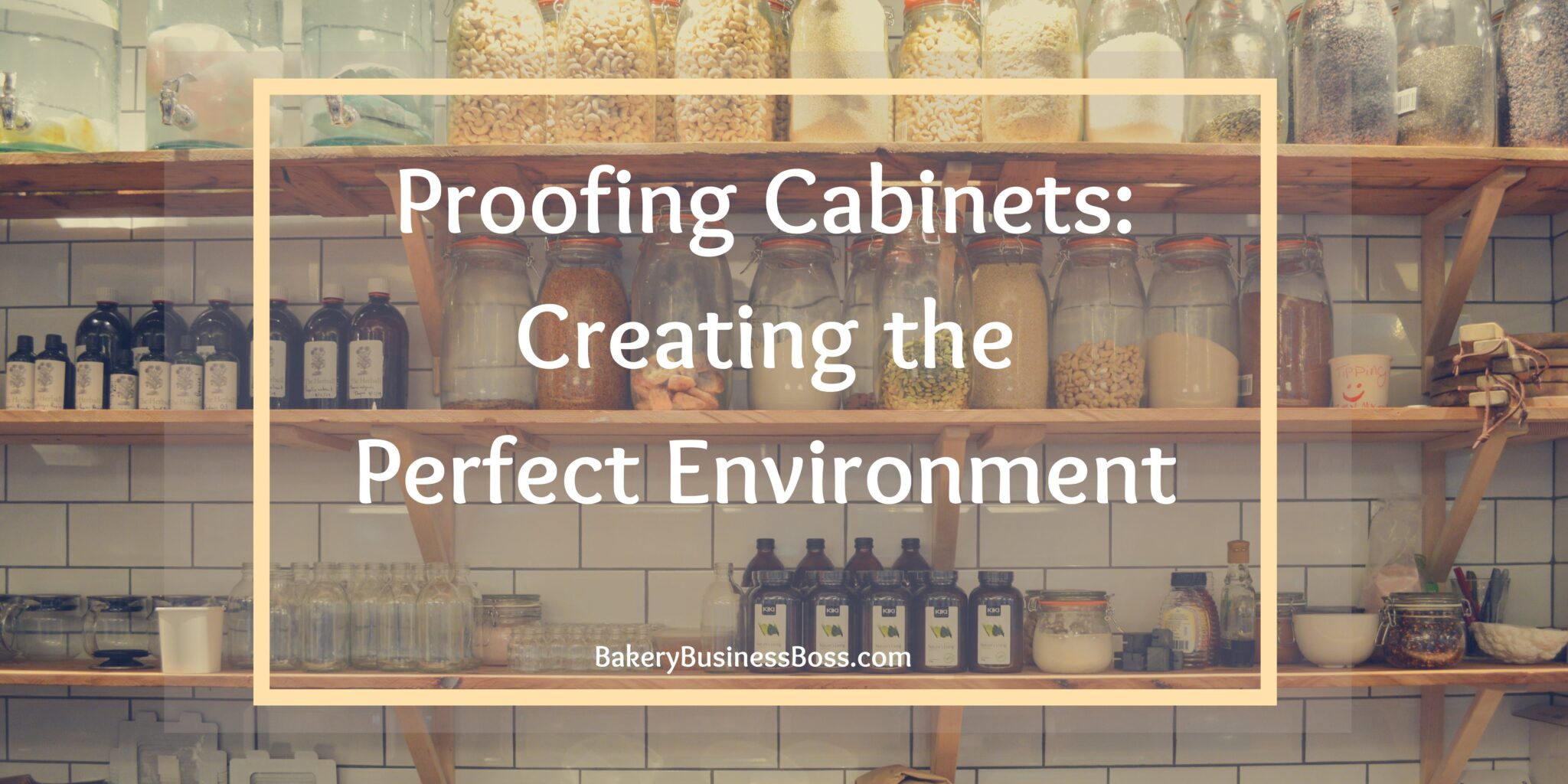 Setting Up a Small Bakery Equipment List and Price Breakdown Bakery